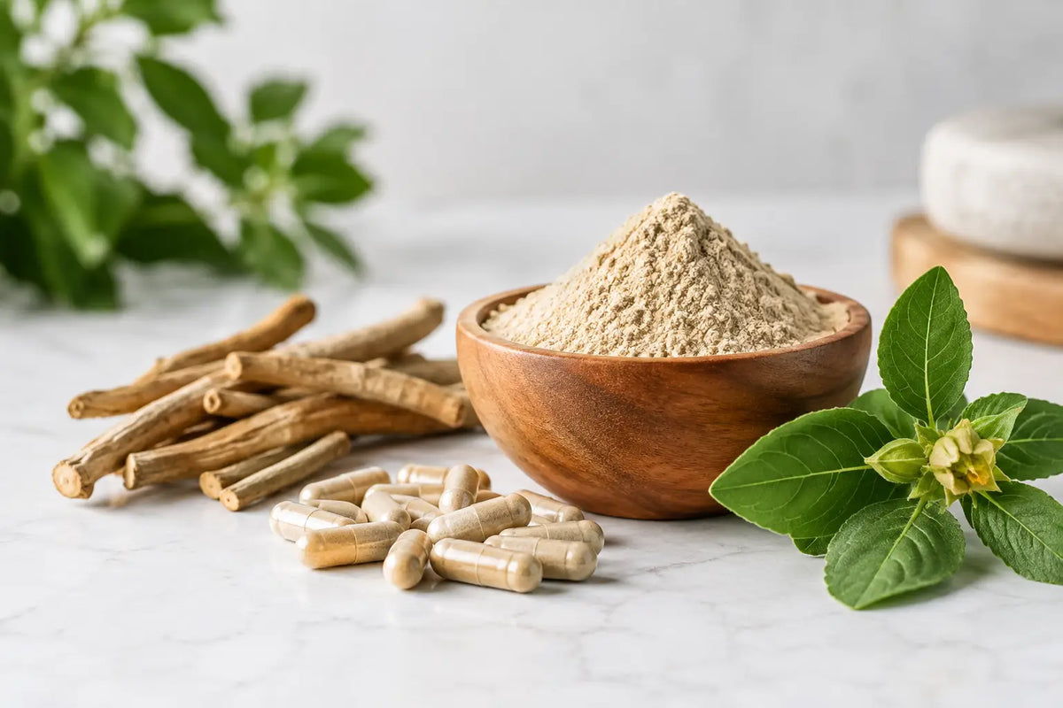 Ashwagandha Produkte Bewertung in 6 Punkten