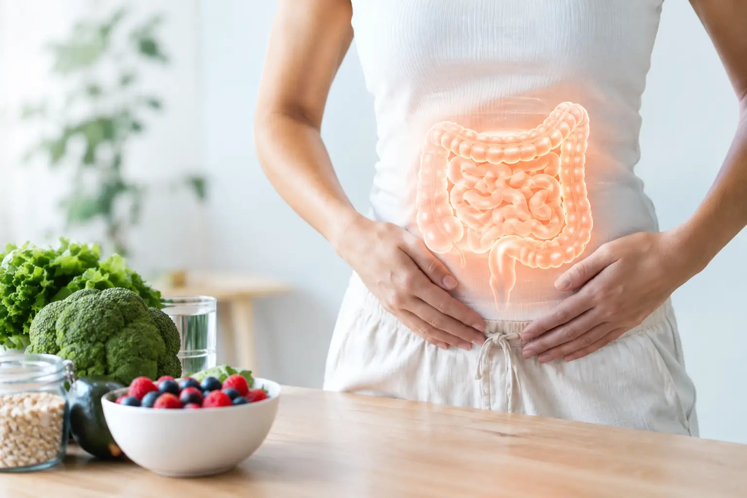 Die Zukunft der Darmgesundheit verstehen