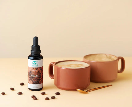 Kääpä Chaga Extrakt Tinktur 50 ml