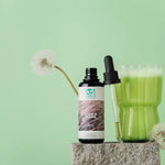 Morgenroutine – koffeinfrei | Rise + Löwenmähne + Q10 PQQ | allseven Detailansicht 2 - Bundles von allseven.