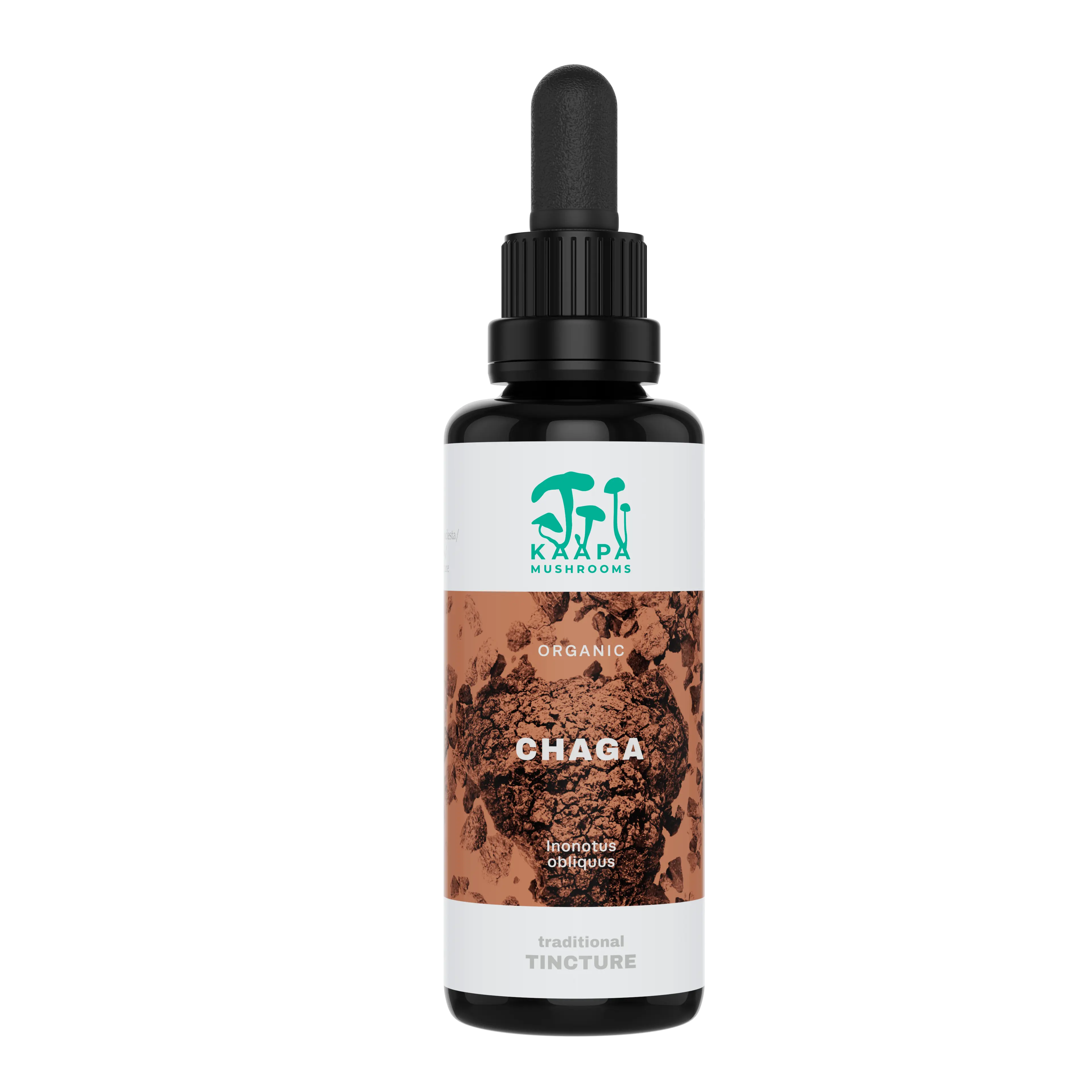 Kääpä Chaga Extrakt Tinktur 50 ml Detailansicht 2 - Darm & Verdauung von allseven.
