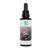 Kääpä Löwenmähne Extrakt Tinktur 50 ml