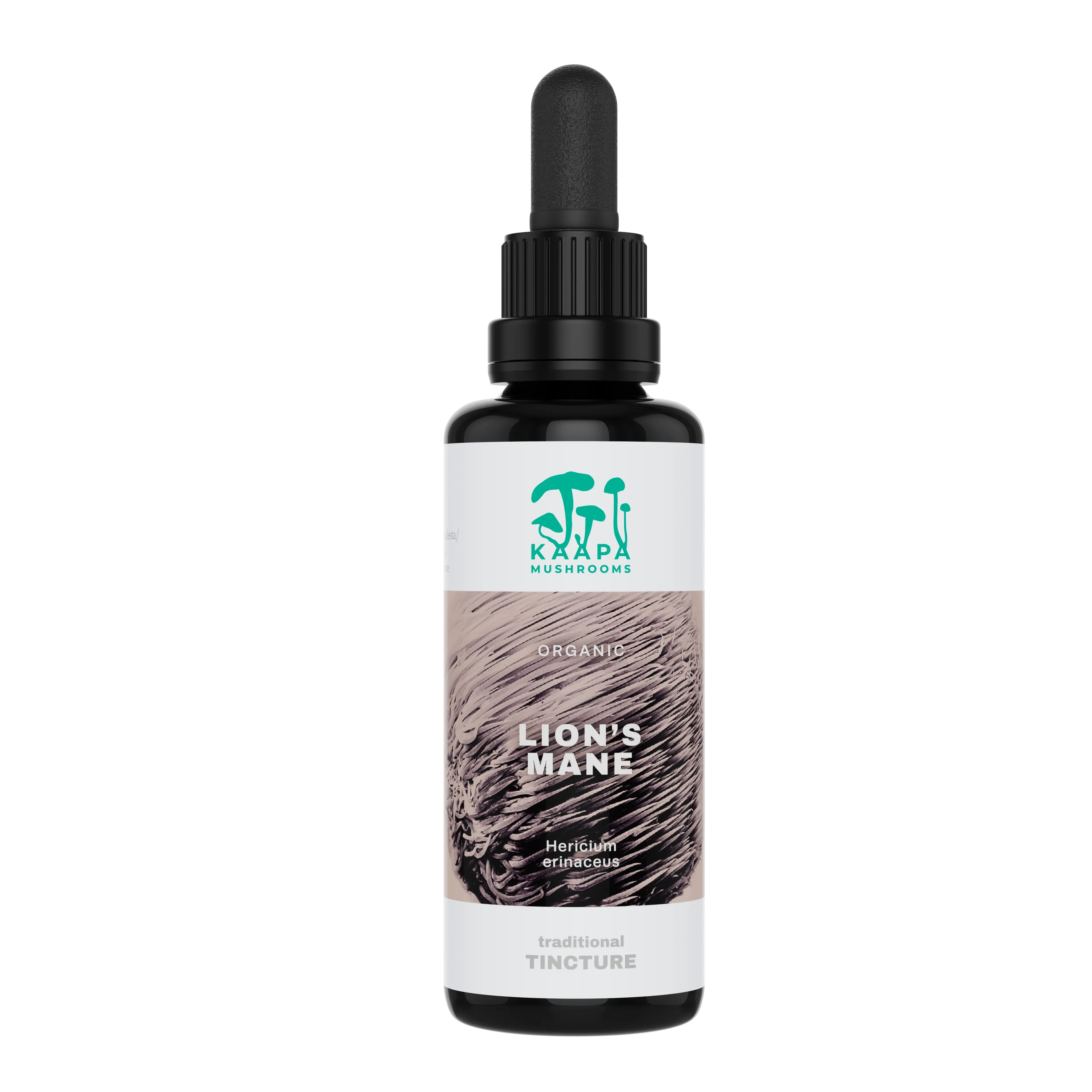 Kääpä Löwenmähne Extrakt Tinktur 50 ml Detailansicht 2 - Energie&Fokus von allseven.