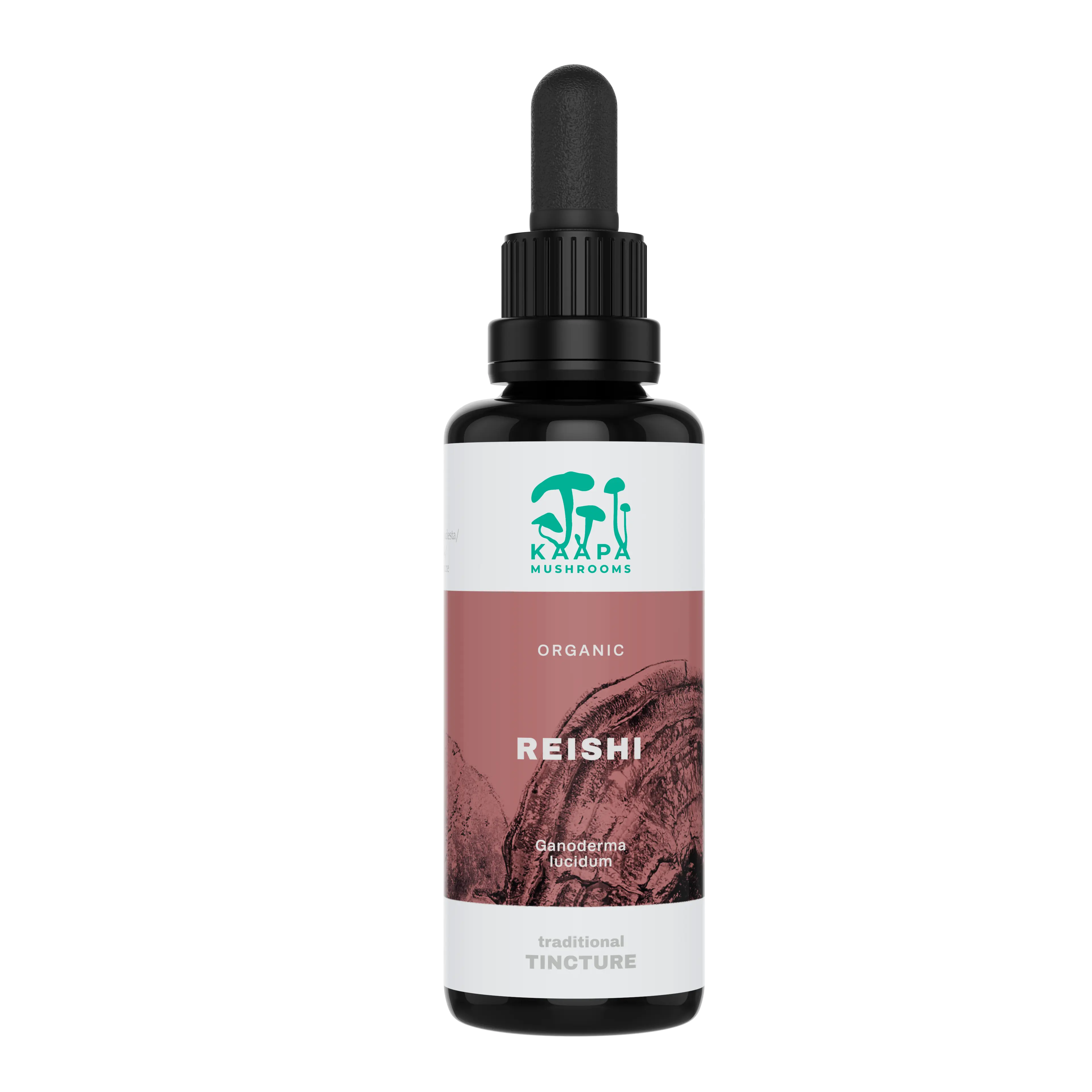 Kääpä Reishi Extrakt Tinktur 50 ml Detailansicht 2 - Kaapa von allseven.