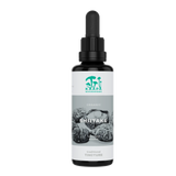 Kääpä Shiitake Extrakt Tinktur 50 ml