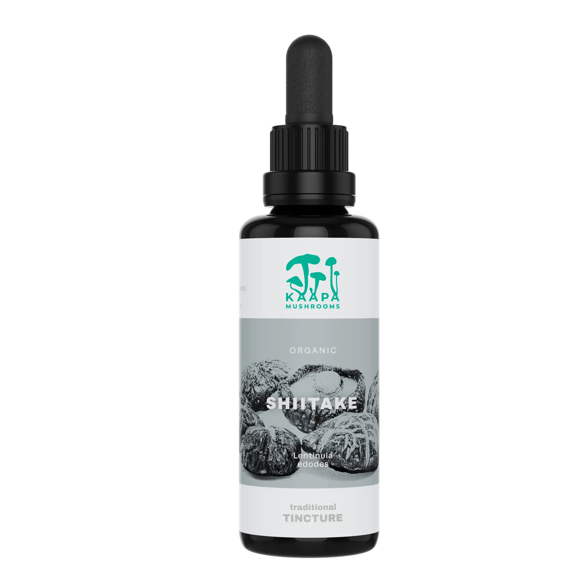 Kääpä Shiitake Extrakt Tinktur 50 ml Detailansicht 2 - Darm & Verdauung von allseven.