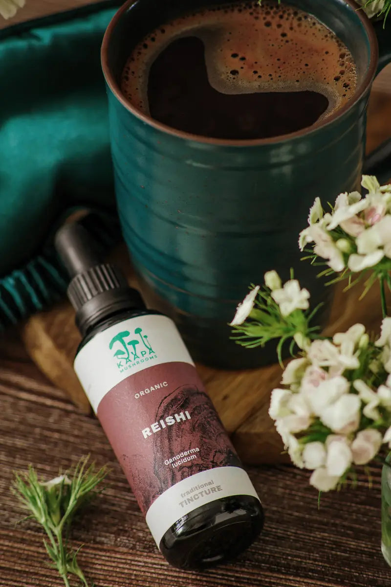 Kääpä Reishi Extrakt Tinktur 50 ml Detailansicht 4 - Kaapa von allseven.