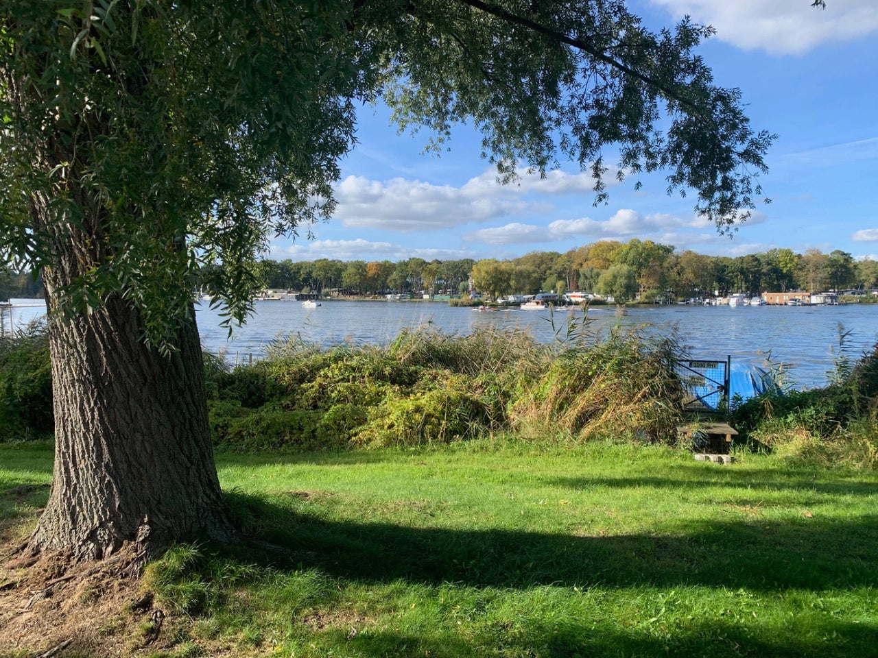 Tom Strohmeier geht am Nachmittag mit seinem Hund am See entlang, herbstliches Licht
